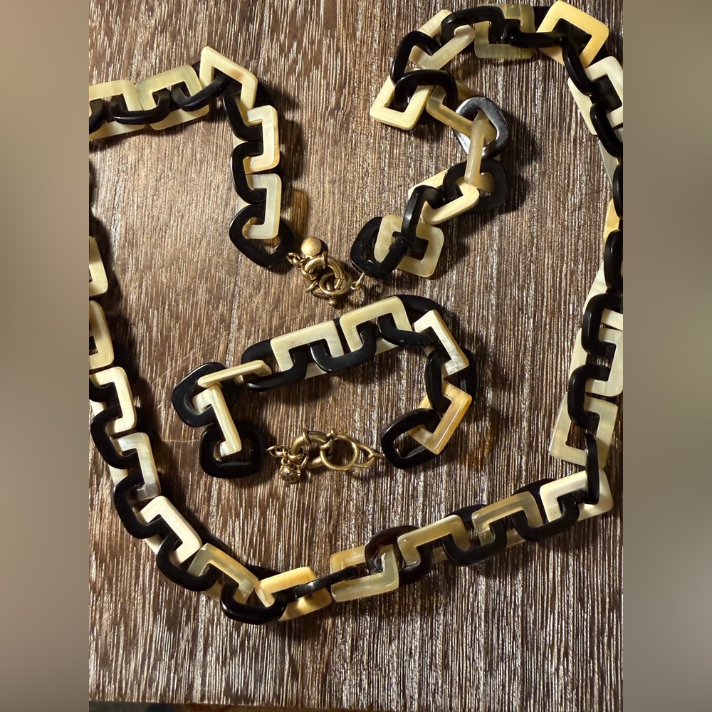 J Crew Lucite Link Necklace & Bracelet Set